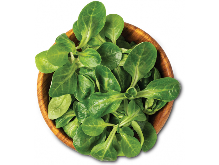 Stribor Matovilac 100 g