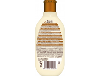 Garnier Botanic Therapy šampon za kosu 250 ml