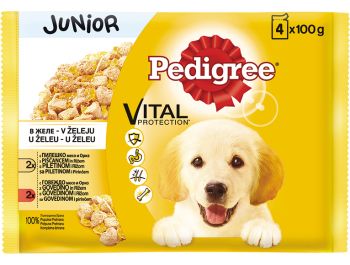 Pedigree Junior hrana za pse 1 pak 4x100 g